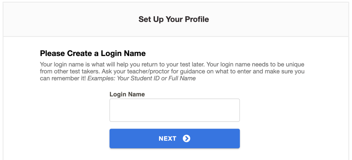Avant test screen titled 'Set Up Your Profile.' Instructions ask the user to create a unique login name to return to their test later, with examples such as Student ID or full name. A text box labeled 'Login Name' is provided, along with a blue 'Next' button. A 'Stop Test' button is located in the upper right corner.