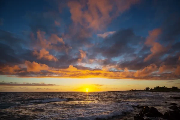 Hawaiian landscape.
