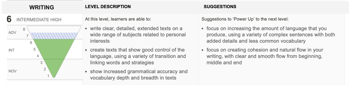 Level Description and Suggestions screenshot.